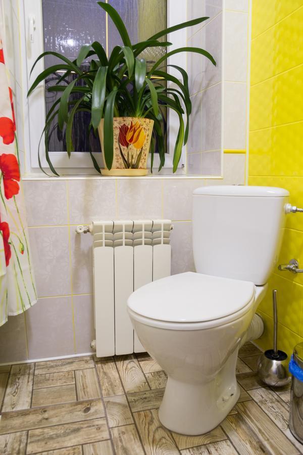 Art House Hostel Kamyanets-Podilski Dış mekan fotoğraf